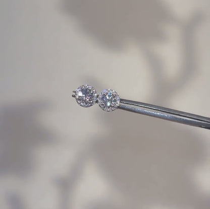 5mm Moissanite Halo Earrings